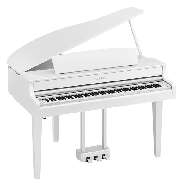 Music City – Tổng Kho Piano, Guitar, Organ | Dịch Vụ Giáo Dục Âm Nhạc