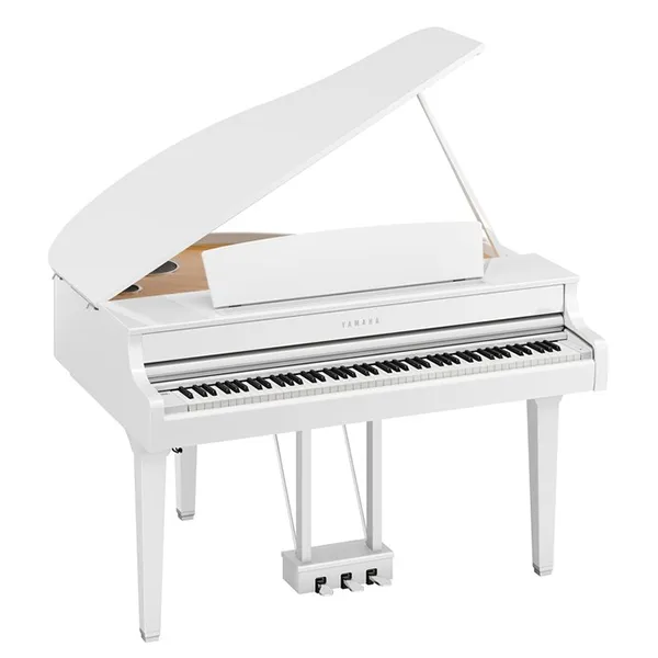 Music City – Tổng Kho Piano, Guitar, Organ | Dịch Vụ Giáo Dục Âm Nhạc