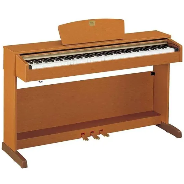 Music City – Tổng Kho Piano, Guitar, Organ | Dịch Vụ Giáo Dục Âm Nhạc