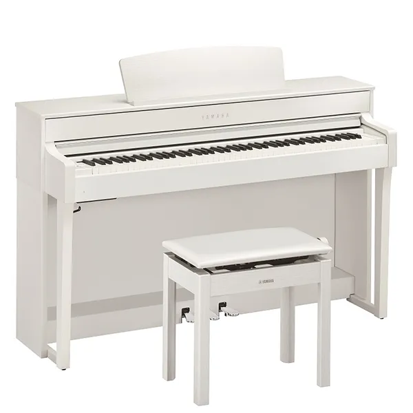 Music City – Tổng Kho Piano, Guitar, Organ | Dịch Vụ Giáo Dục Âm Nhạc