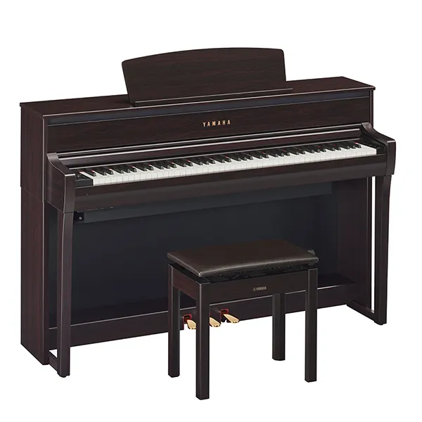Music City – Tổng Kho Piano, Guitar, Organ | Dịch Vụ Giáo Dục Âm Nhạc