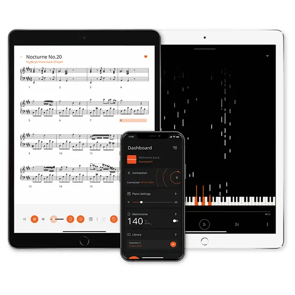 Music City – Tổng Kho Piano, Guitar, Organ | Dịch Vụ Giáo Dục Âm Nhạc