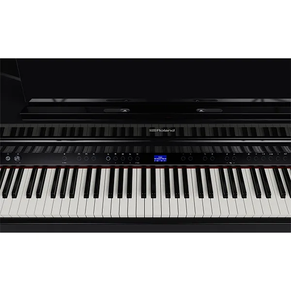 Music City – Tổng Kho Piano, Guitar, Organ | Dịch Vụ Giáo Dục Âm Nhạc