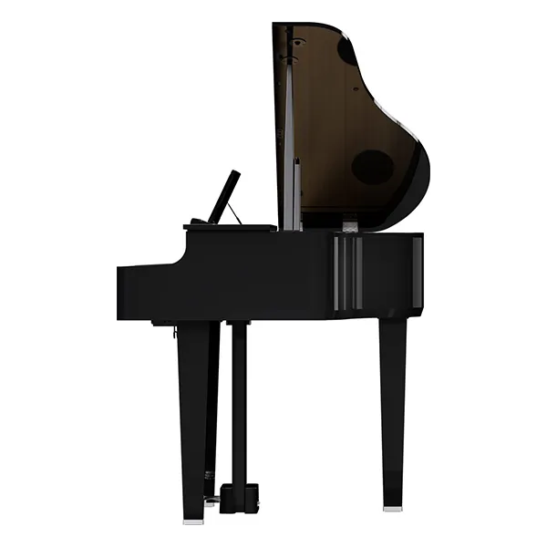 Music City – Tổng Kho Piano, Guitar, Organ | Dịch Vụ Giáo Dục Âm Nhạc