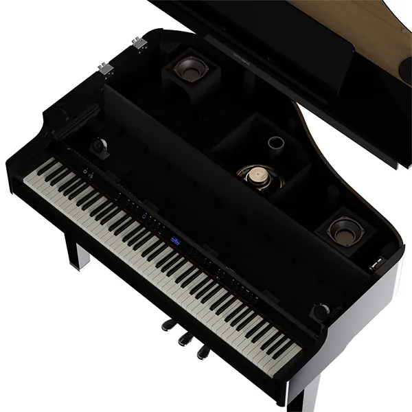 Music City – Tổng Kho Piano, Guitar, Organ | Dịch Vụ Giáo Dục Âm Nhạc