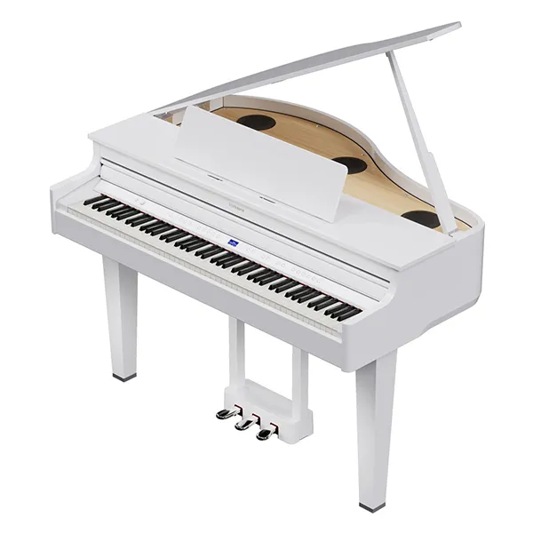 Music City – Tổng Kho Piano, Guitar, Organ | Dịch Vụ Giáo Dục Âm Nhạc