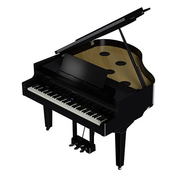 Music City – Tổng Kho Piano, Guitar, Organ | Dịch Vụ Giáo Dục Âm Nhạc