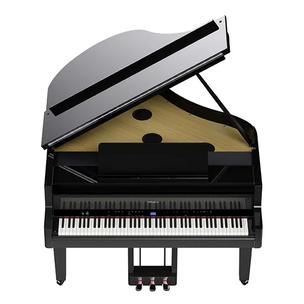 Music City – Tổng Kho Piano, Guitar, Organ | Dịch Vụ Giáo Dục Âm Nhạc