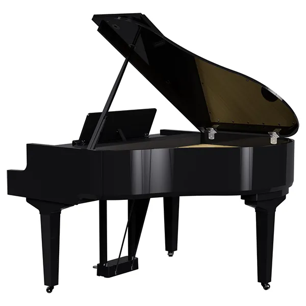 Music City – Tổng Kho Piano, Guitar, Organ | Dịch Vụ Giáo Dục Âm Nhạc