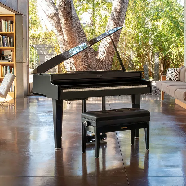 Music City – Tổng Kho Piano, Guitar, Organ | Dịch Vụ Giáo Dục Âm Nhạc