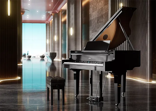 Music City – Tổng Kho Piano, Guitar, Organ | Dịch Vụ Giáo Dục Âm Nhạc