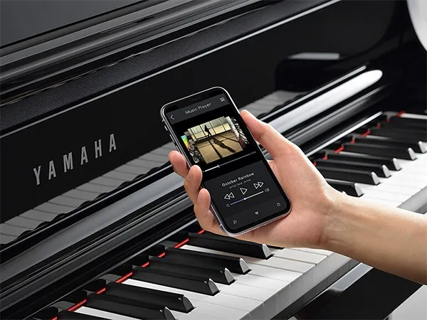 Music City – Tổng Kho Piano, Guitar, Organ | Dịch Vụ Giáo Dục Âm Nhạc