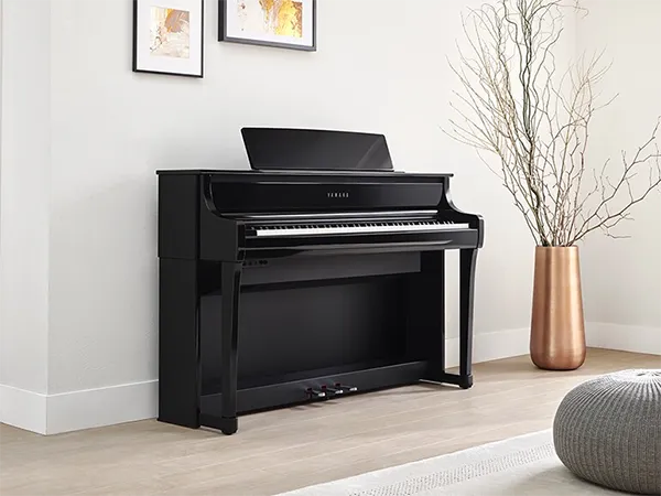 Music City – Tổng Kho Piano, Guitar, Organ | Dịch Vụ Giáo Dục Âm Nhạc