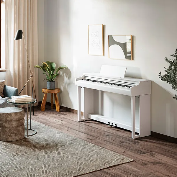 Music City – Tổng Kho Piano, Guitar, Organ | Dịch Vụ Giáo Dục Âm Nhạc