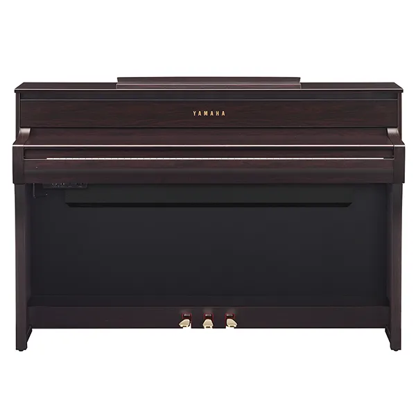 Music City – Tổng Kho Piano, Guitar, Organ | Dịch Vụ Giáo Dục Âm Nhạc