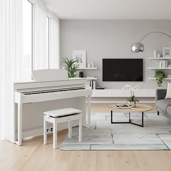 Music City – Tổng Kho Piano, Guitar, Organ | Dịch Vụ Giáo Dục Âm Nhạc