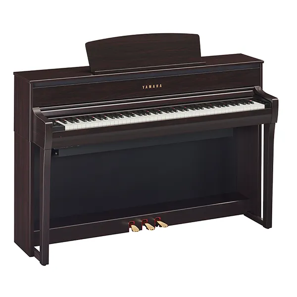Music City – Tổng Kho Piano, Guitar, Organ | Dịch Vụ Giáo Dục Âm Nhạc