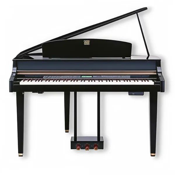 Music City – Tổng Kho Piano, Guitar, Organ | Dịch Vụ Giáo Dục Âm Nhạc