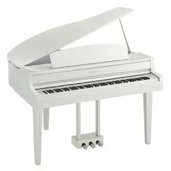 Music City – Tổng Kho Piano, Guitar, Organ | Dịch Vụ Giáo Dục Âm Nhạc