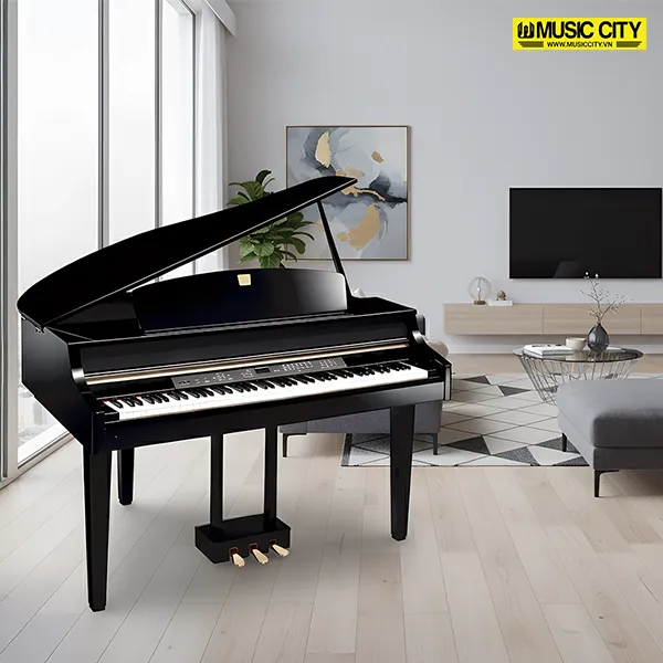 Music City – Tổng Kho Piano, Guitar, Organ | Dịch Vụ Giáo Dục Âm Nhạc