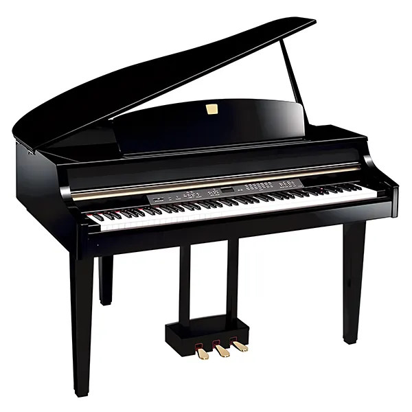 Music City – Tổng Kho Piano, Guitar, Organ | Dịch Vụ Giáo Dục Âm Nhạc