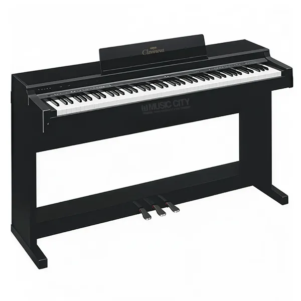 Music City – Tổng Kho Piano, Guitar, Organ | Dịch Vụ Giáo Dục Âm Nhạc