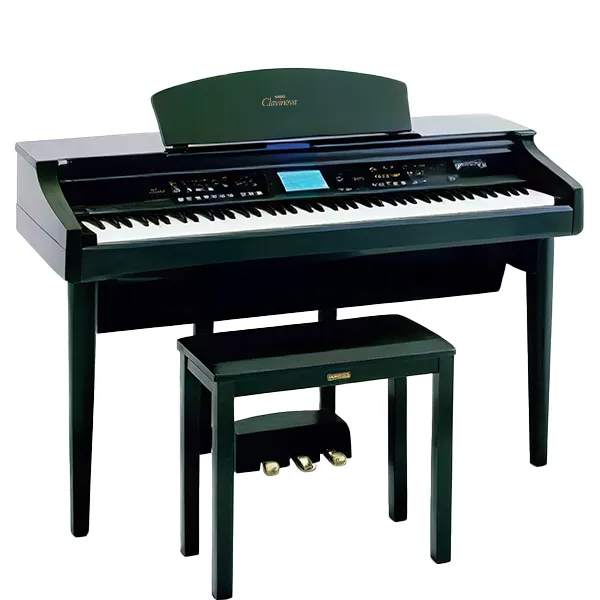Music City – Tổng Kho Piano, Guitar, Organ | Dịch Vụ Giáo Dục Âm Nhạc