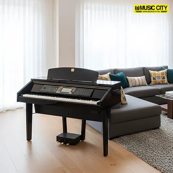 Music City – Tổng Kho Piano, Guitar, Organ | Dịch Vụ Giáo Dục Âm Nhạc