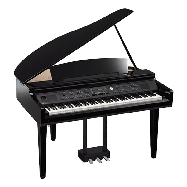 Music City – Tổng Kho Piano, Guitar, Organ | Dịch Vụ Giáo Dục Âm Nhạc