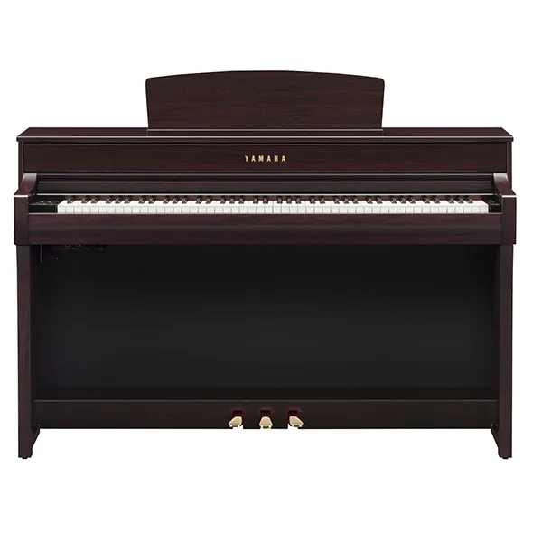 Music City – Tổng Kho Piano, Guitar, Organ | Dịch Vụ Giáo Dục Âm Nhạc