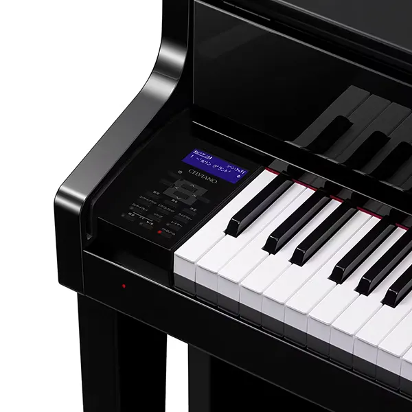 Music City – Tổng Kho Piano, Guitar, Organ | Dịch Vụ Giáo Dục Âm Nhạc