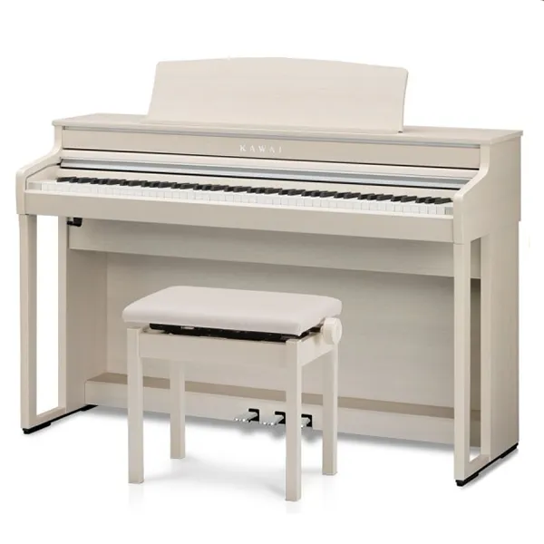 Music City – Tổng Kho Piano, Guitar, Organ | Dịch Vụ Giáo Dục Âm Nhạc