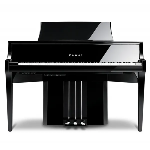 Music City – Tổng Kho Piano, Guitar, Organ | Dịch Vụ Giáo Dục Âm Nhạc