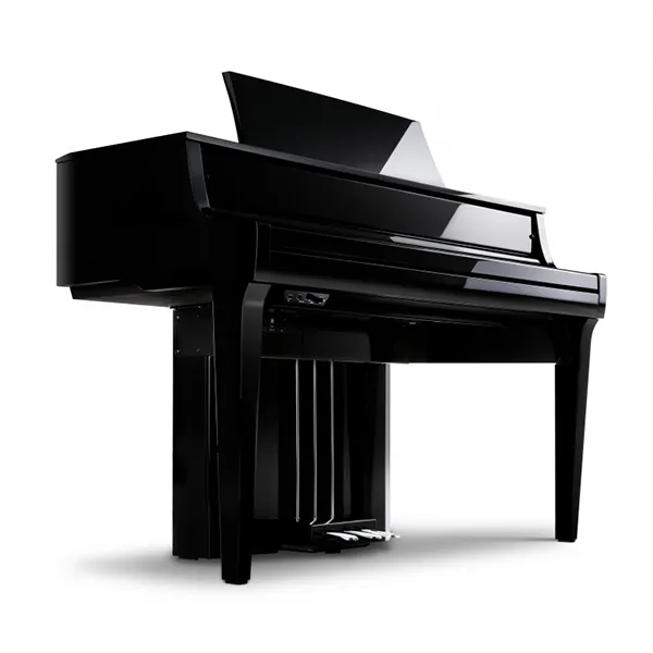 Music City – Tổng Kho Piano, Guitar, Organ | Dịch Vụ Giáo Dục Âm Nhạc