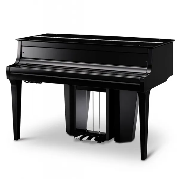 Music City – Tổng Kho Piano, Guitar, Organ | Dịch Vụ Giáo Dục Âm Nhạc
