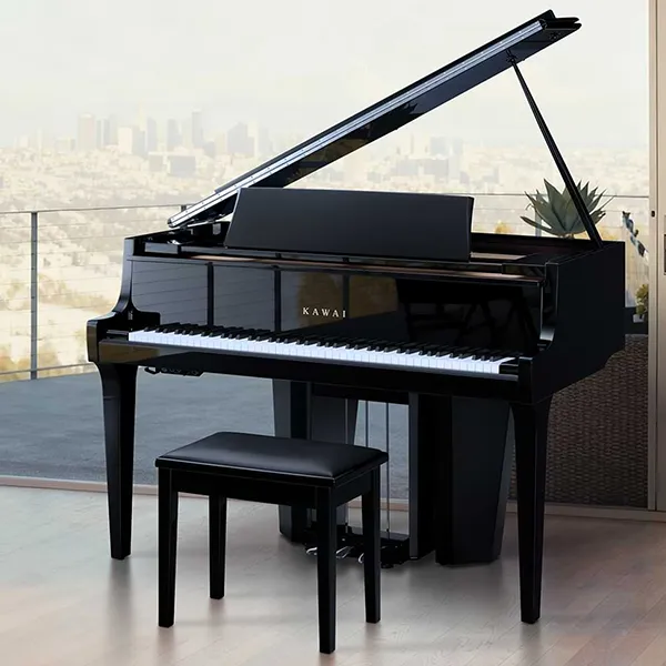 Music City – Tổng Kho Piano, Guitar, Organ | Dịch Vụ Giáo Dục Âm Nhạc