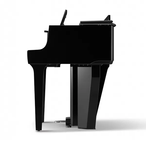 Music City – Tổng Kho Piano, Guitar, Organ | Dịch Vụ Giáo Dục Âm Nhạc