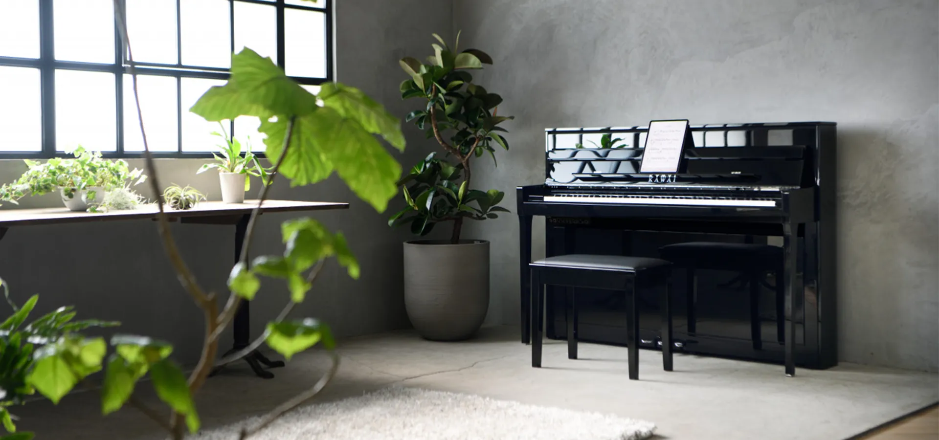 Music City – Tổng Kho Piano, Guitar, Organ | Dịch Vụ Giáo Dục Âm Nhạc