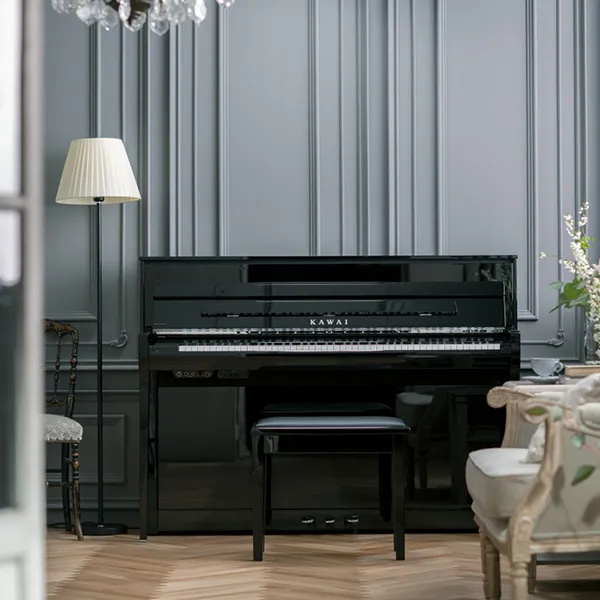 Music City – Tổng Kho Piano, Guitar, Organ | Dịch Vụ Giáo Dục Âm Nhạc