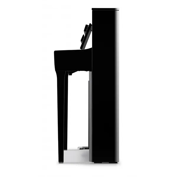 Music City – Tổng Kho Piano, Guitar, Organ | Dịch Vụ Giáo Dục Âm Nhạc