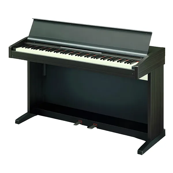Music City – Tổng Kho Piano, Guitar, Organ | Dịch Vụ Giáo Dục Âm Nhạc