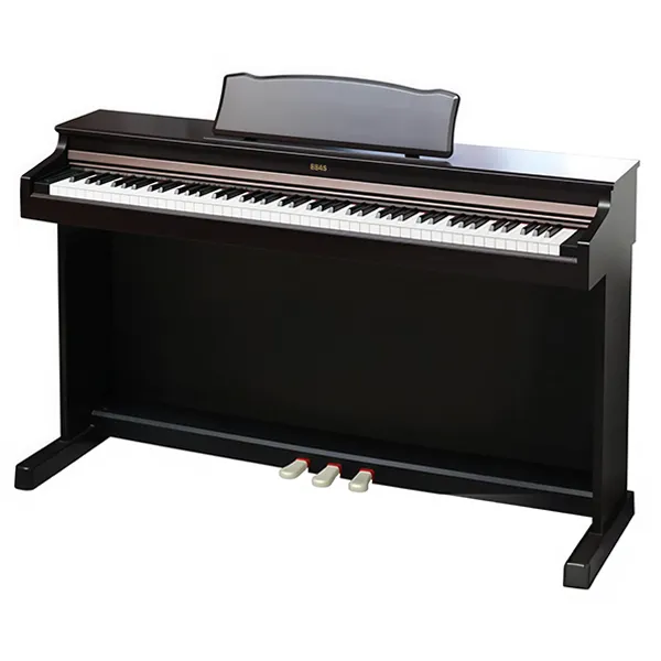 Music City – Tổng Kho Piano, Guitar, Organ | Dịch Vụ Giáo Dục Âm Nhạc
