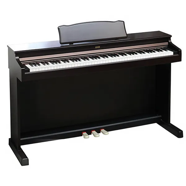 Music City – Tổng Kho Piano, Guitar, Organ | Dịch Vụ Giáo Dục Âm Nhạc