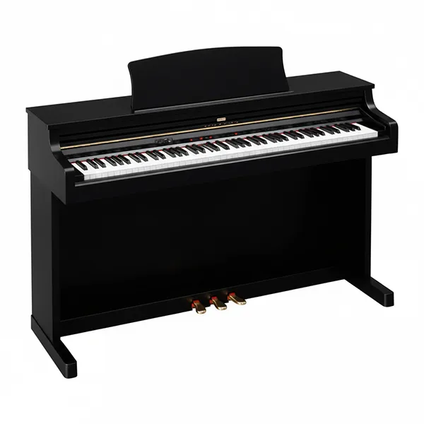 Music City – Tổng Kho Piano, Guitar, Organ | Dịch Vụ Giáo Dục Âm Nhạc