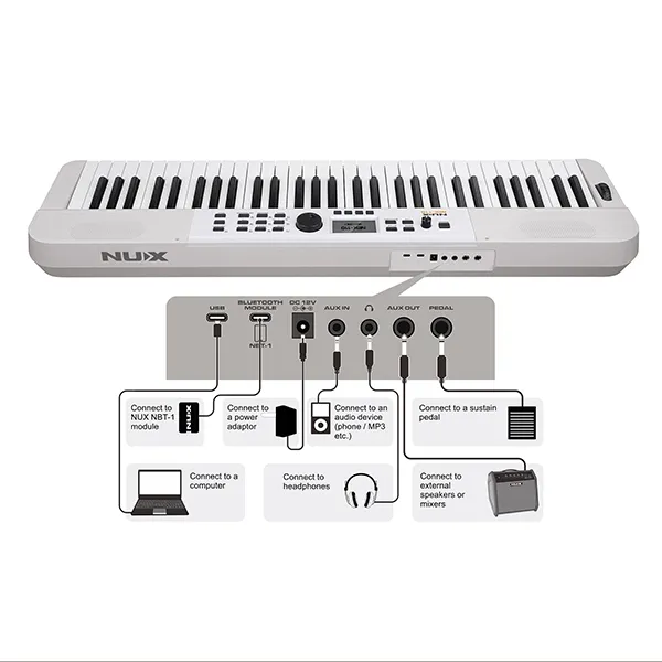 Music City – Tổng Kho Piano, Guitar, Organ | Dịch Vụ Giáo Dục Âm Nhạc