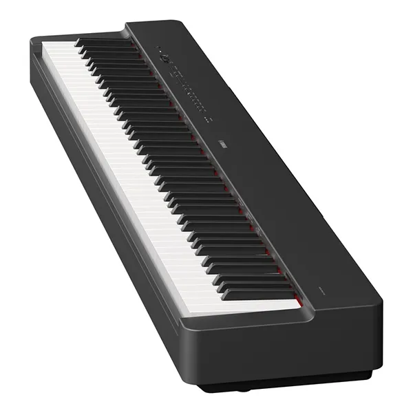 Music City – Tổng Kho Piano, Guitar, Organ | Dịch Vụ Giáo Dục Âm Nhạc