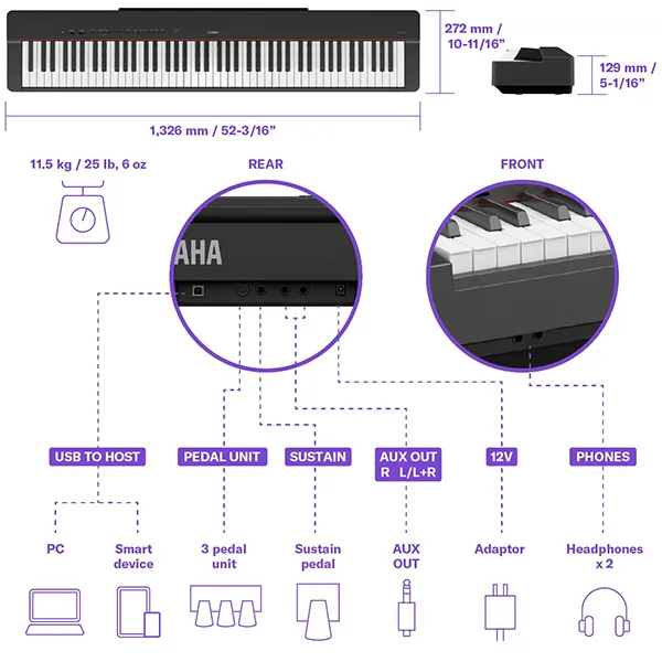 Music City – Tổng Kho Piano, Guitar, Organ | Dịch Vụ Giáo Dục Âm Nhạc