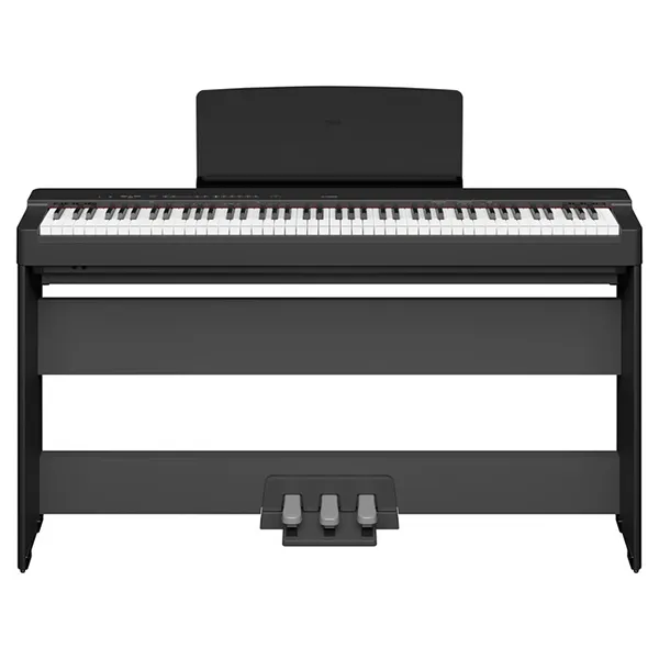 Music City – Tổng Kho Piano, Guitar, Organ | Dịch Vụ Giáo Dục Âm Nhạc