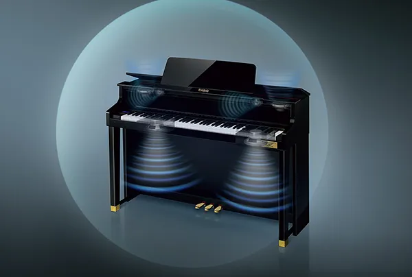 Music City – Tổng Kho Piano, Guitar, Organ | Dịch Vụ Giáo Dục Âm Nhạc