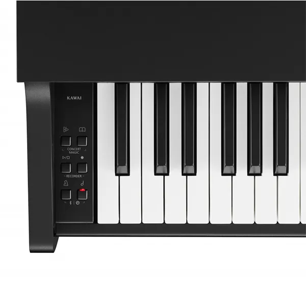 Music City – Tổng Kho Piano, Guitar, Organ | Dịch Vụ Giáo Dục Âm Nhạc